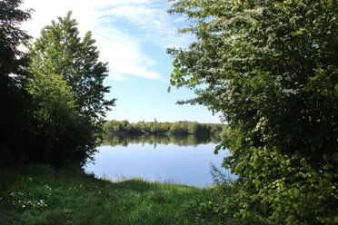 Ein stiller See mit umgebender Grünfläche und klarem Himmel, eingerahmt von dichtem Laubwerk.