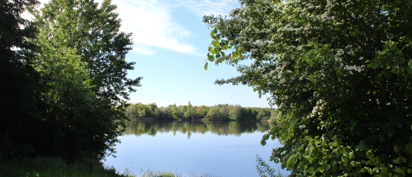 Ein stiller See mit umgebender Grünfläche und klarem Himmel, eingerahmt von dichtem Laubwerk.