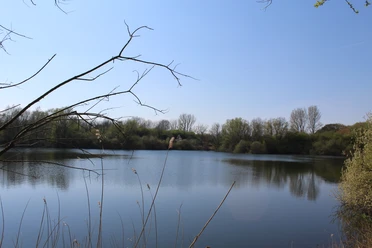 Ruhiger Badesee umgeben von Bäumen, reflektiert den blauen Himmel, mit Schilf im Vordergrund.