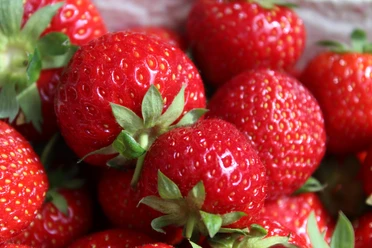 Erdbeeren Ein Haufen leuchtend roter, frisch gepflückter Erdbeeren mit grünen Blättern auf einem weißen Hintergrund.