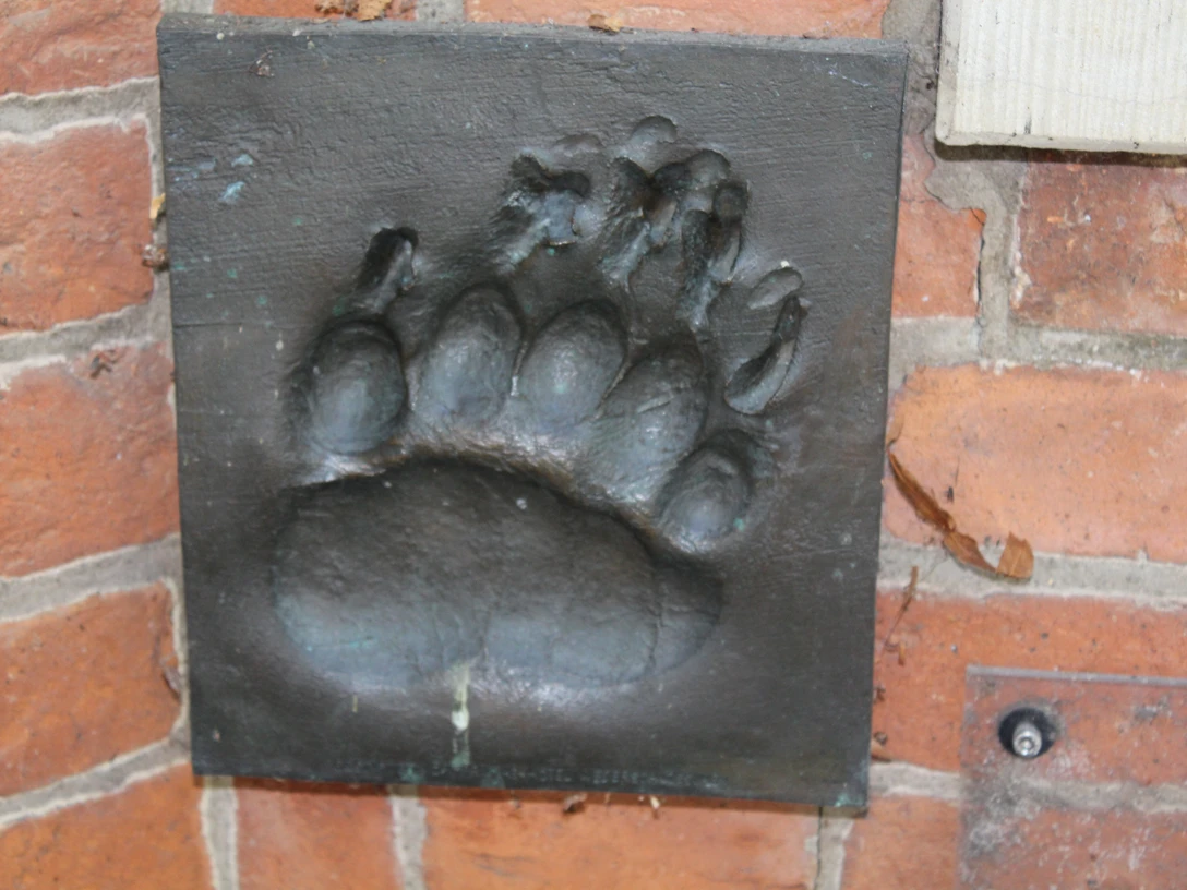 Bronze Relief Bärentatze Ein in eine Ziegelwand eingelassenes Bronzereflief zeigt den detaillierten Abdruck einer Bärentatze.