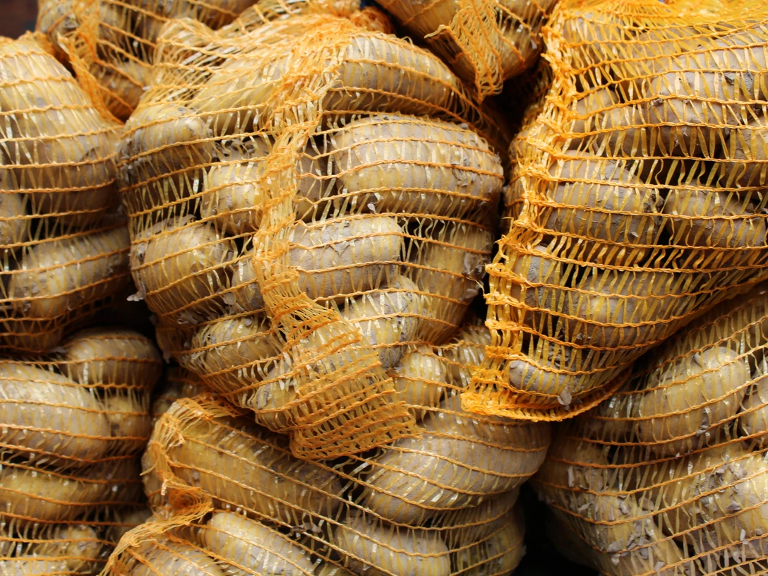 Kartoffeln Mehrere grobmaschige, orangefarbene Netze gefüllt mit frisch geernteten Kartoffeln türmen sich auf.