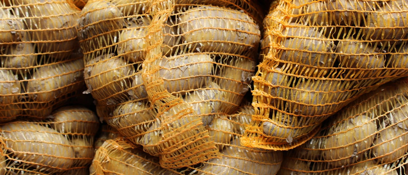 Kartoffeln Mehrere grobmaschige, orangefarbene Netze gefüllt mit frisch geernteten Kartoffeln türmen sich auf.