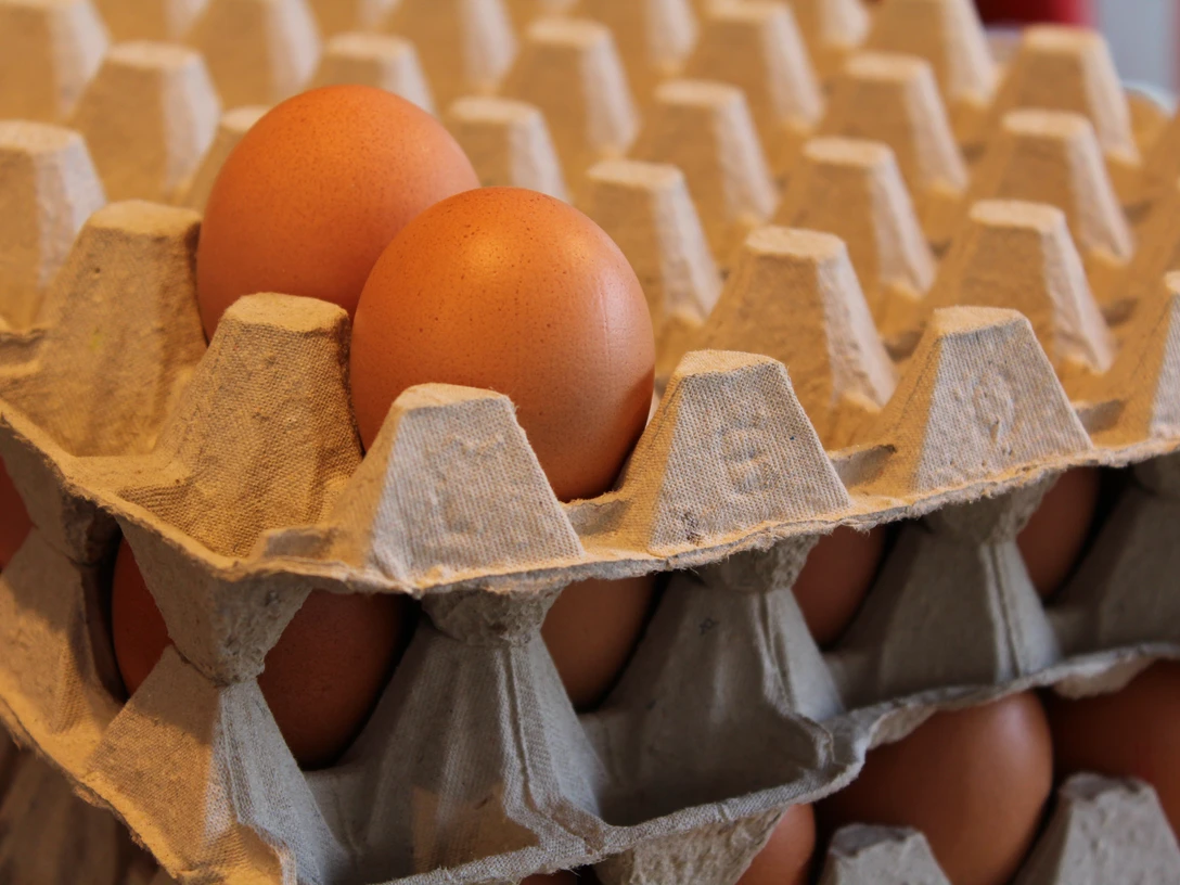 Eier Braune Eier liegen in grauen Pappkartons gestapelt, bereit zum Verkauf oder zur Verwendung.