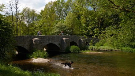 Nethebrücke Steinerne Bogenbrücke überquert einen ruhigen Fluss, umgeben von üppigem Grün und Natur.