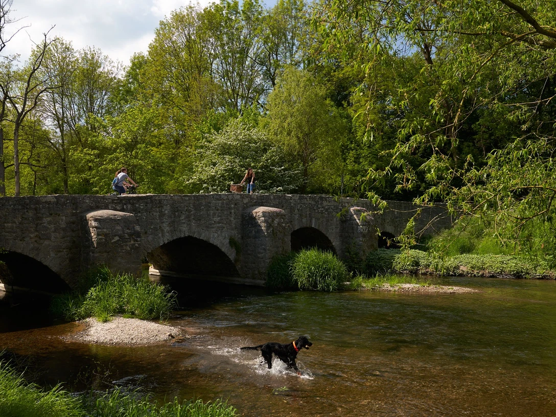 Nethebrücke Steinerne Bogenbrücke überquert einen ruhigen Fluss, umgeben von üppigem Grün und Natur.