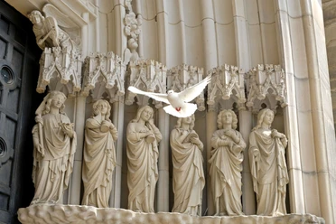 Friedenstaube vor der Marienkirche in Osnabrück Eine weiße Taube fliegt vor einer gotischen Steinreliefdarstellung mit Heiligen.