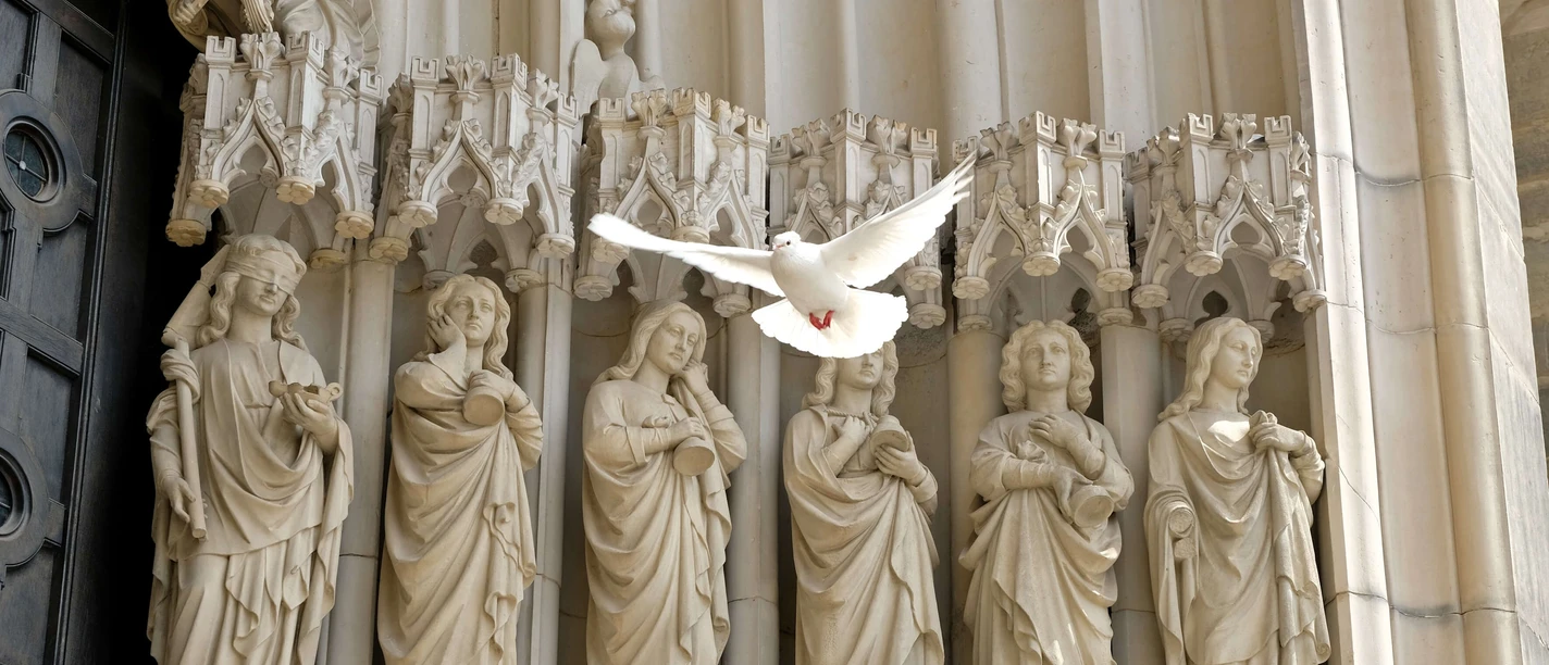 Friedenstaube vor der Marienkirche in Osnabrück Een witte duif vliegt voor een gotisch stenen reliëf waarop heiligen staan afgebeeld.