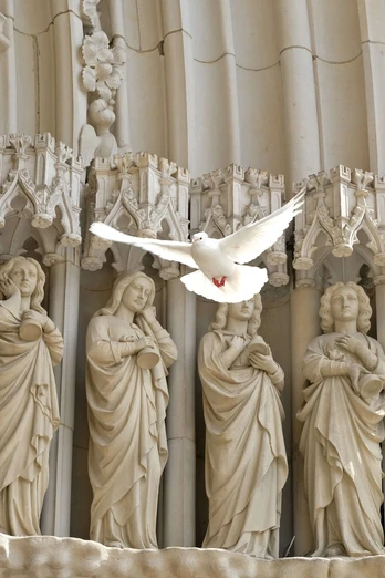 Friedenstaube vor der Marienkirche in Osnabrück Eine weiße Taube fliegt vor einer gotischen Steinreliefdarstellung mit Heiligen.