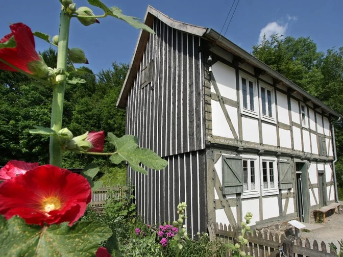 Fachwerkhaus mit hölzernen Fensterläden, umgeben von blühenden Stockrosen und grünem Hintergrund.