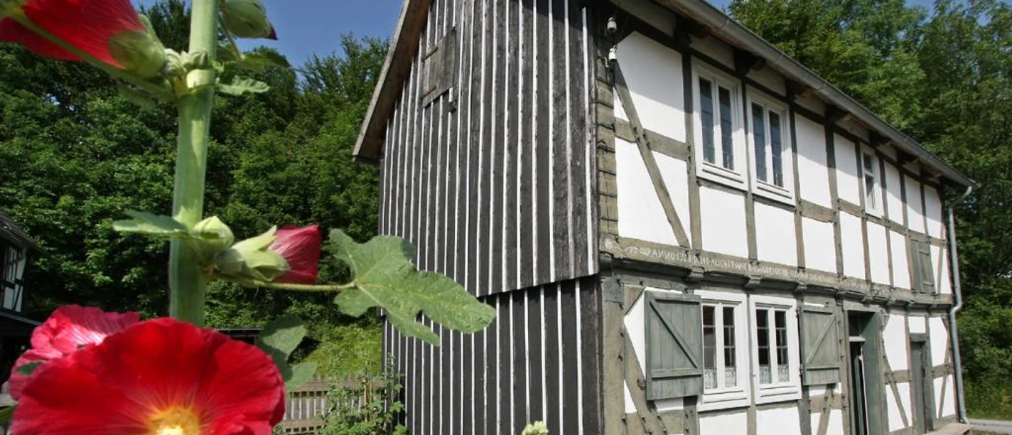 Haus Fachwerkhaus mit hölzernen Fensterläden, umgeben von blühenden Stockrosen und grünem Hintergrund.