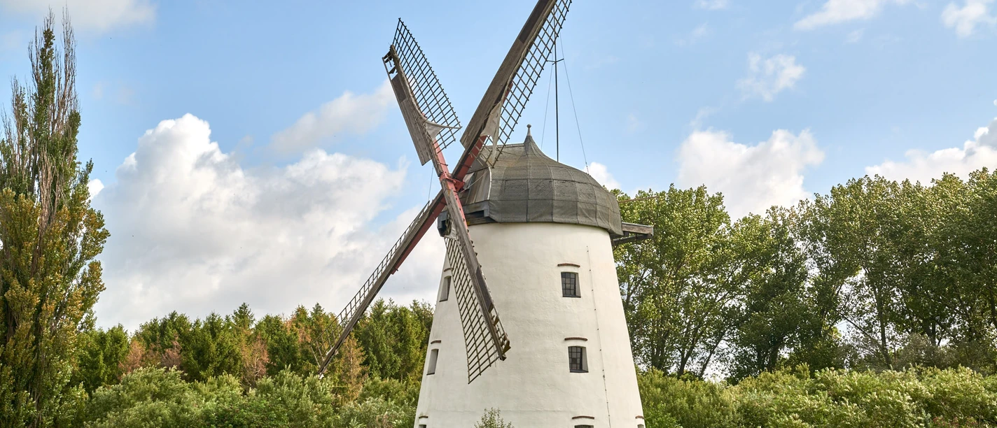 Windmühle - Nördliches Harzvorland