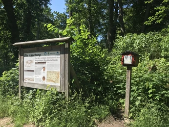 Stempelstation mit Infoschild Asseburg Ruine Stempelstation mit Infoschild Asseburg Ruine
