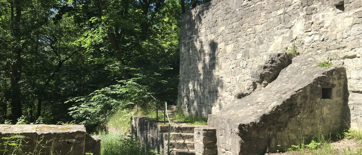 Asseburg Ruine_nördliches Harzvorland Asseburg Ruine_nördliches Harzvorland