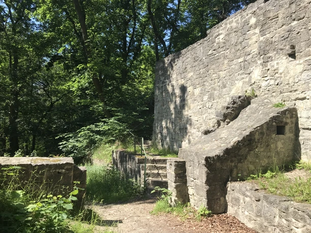 Asseburg Ruine_nördliches Harzvorland Asseburg Ruine_nördliches Harzvorland