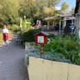 stempelstation-30-vienenburger-see-rosarium.jpg