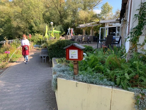 stempelstation-30-vienenburger-see-rosarium.jpg