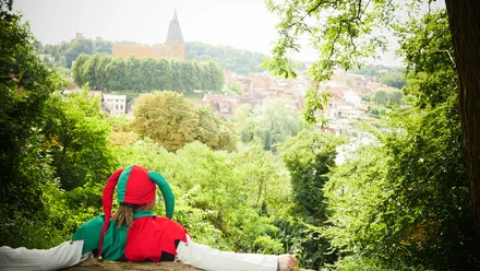 Eulenspiegel mit Blick auf die Altstadt Eulenspiegel blickt auf die Möllner Altstadt