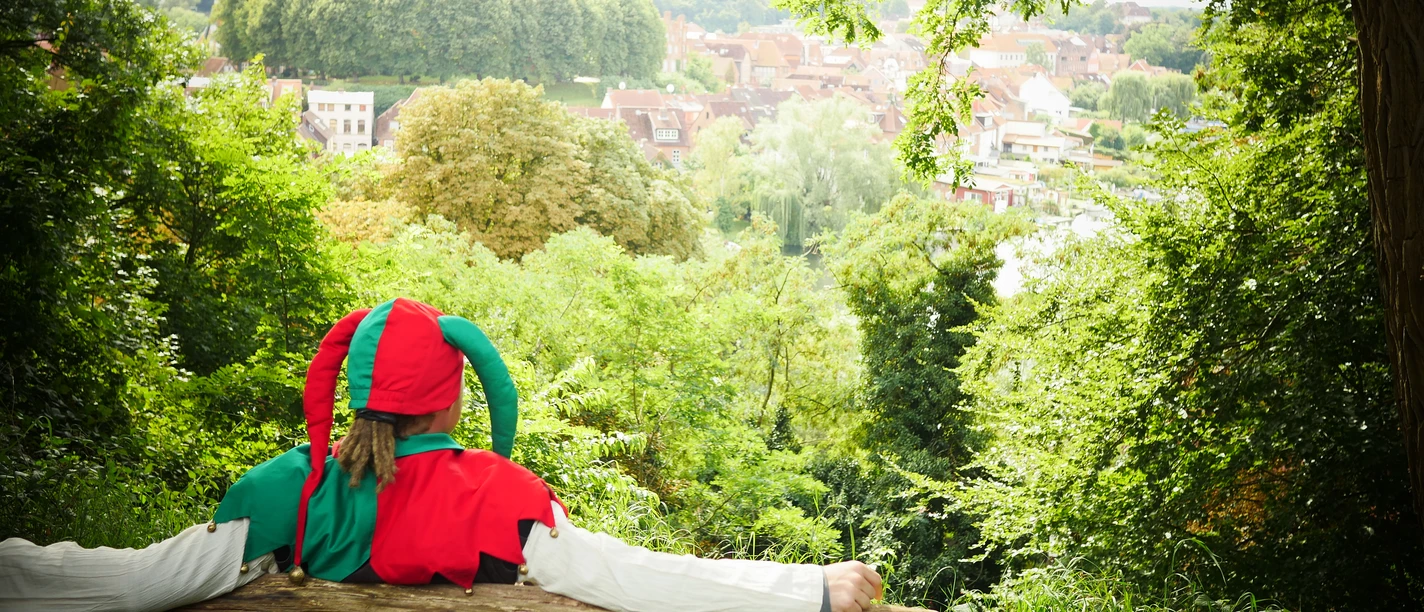 Eulenspiegel mit Blick auf die Altstadt Eulenspiegel blickt auf die Möllner Altstadt