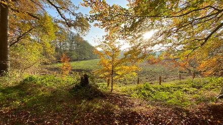Pirschbachtal