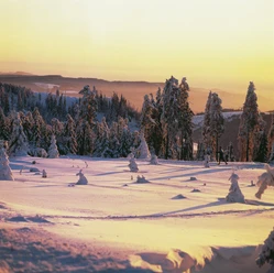 braunlage-wurmberg-schnee(c)btmg.jpg