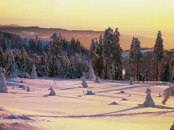 braunlage-wurmberg-schnee(c)btmg.jpg