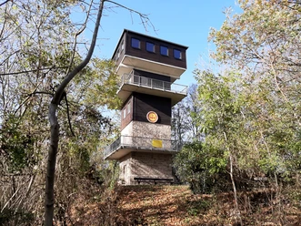 Harlyturm_nördliches Harzvorland Harlyturm_nördliches Harzvorland