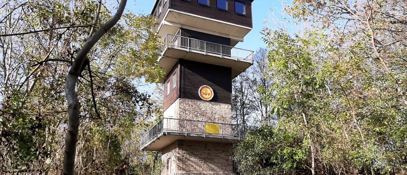 Harlyturm_nördliches Harzvorland Harlyturm_nördliches Harzvorland