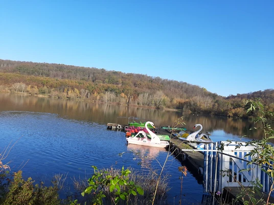 Vienenburger See_nördliches Harzvorland.jpg