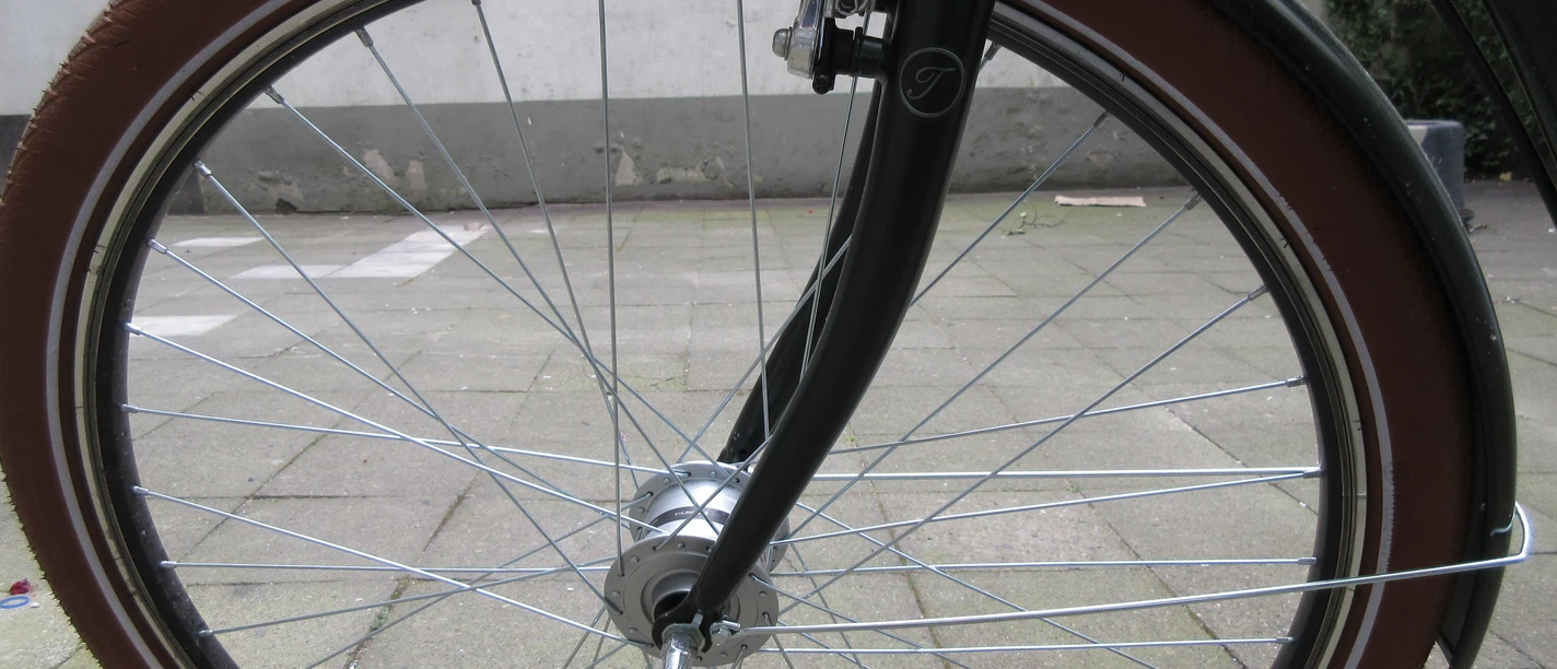 Fahrrad Ein schwarzes Fahrrad mit braunen Reifen steht auf einem gepflasterten Boden, umgeben von grünen Ranken.