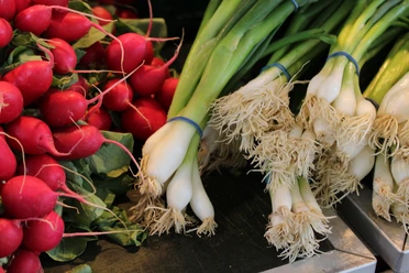 Frisches Gemüse Frische Bündel von Radieschen und Frühlingszwiebeln liegen nebeneinander auf einem Marktstand.