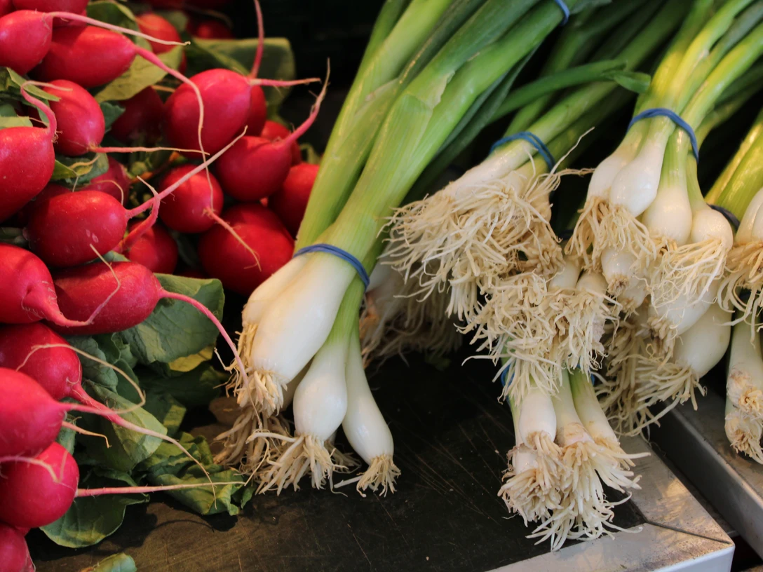 Frisches Gemüse Frische Bündel von Radieschen und Frühlingszwiebeln liegen nebeneinander auf einem Marktstand.