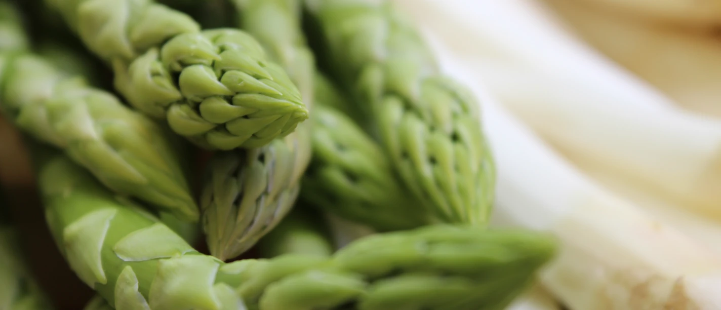 Frischer grüner und weißer Spargel aus Nienburg, dicht in einem Verzehrbündel angeordnet.