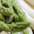 Nienburger Spargel Frischer grüner und weißer Spargel aus Nienburg, dicht in einem Verzehrbündel angeordnet.