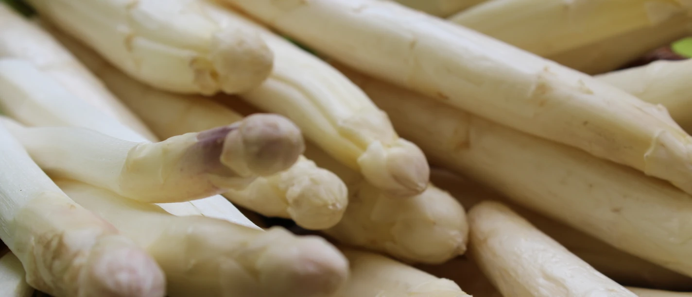 Frischer Nienburger Spargel in Nahaufnahme, mit deutlicher Struktur und natürlicher Farbe.