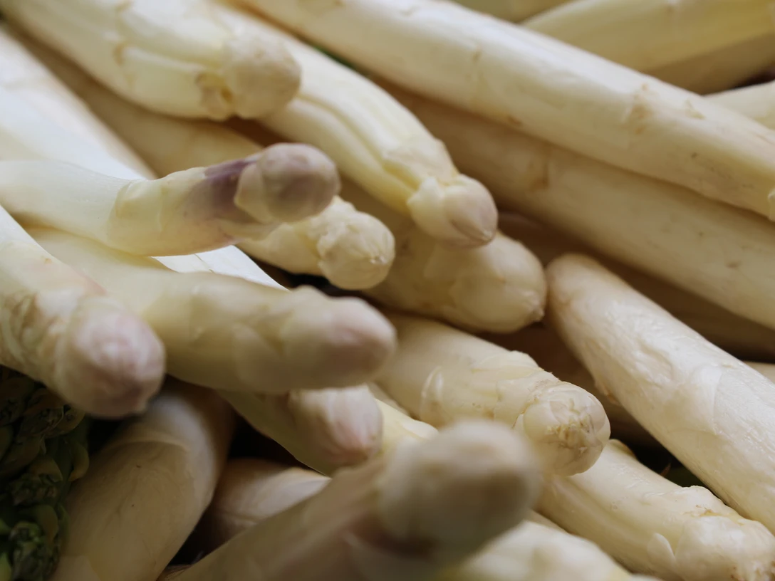 Nienburger Spargel Frischer Nienburger Spargel in Nahaufnahme, mit deutlicher Struktur und natürlicher Farbe.
