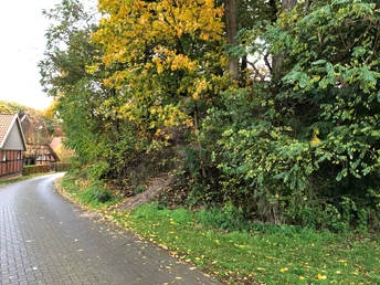 Ein schmaler Weg führt entlang eines bewaldeten Hügels in einer herbstlichen Dorflandschaft.