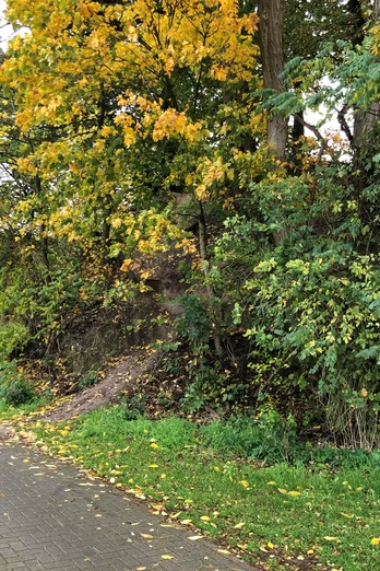 Ein schmaler Weg führt entlang eines bewaldeten Hügels in einer herbstlichen Dorflandschaft.