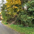 Ringwall Ein schmaler Weg führt entlang eines bewaldeten Hügels in einer herbstlichen Dorflandschaft.