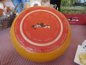 Large, round wheel of cheese with red Bünkemühler Hofkäserei label on a checkered tablecloth.
