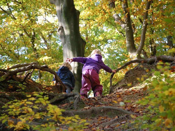 Kinder im Wald, Steinrode, Hann. Münden Kinder im Wald, Steinrode, Hann. Münden