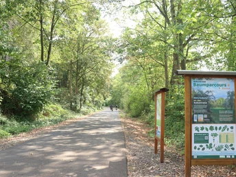 Panorama-Radweg Balkantrasse_Angelika Schott Bergischer Panorama-Radweg Balkantrasse, flache Trasse, wenig Steigung, ländliche Umgebung