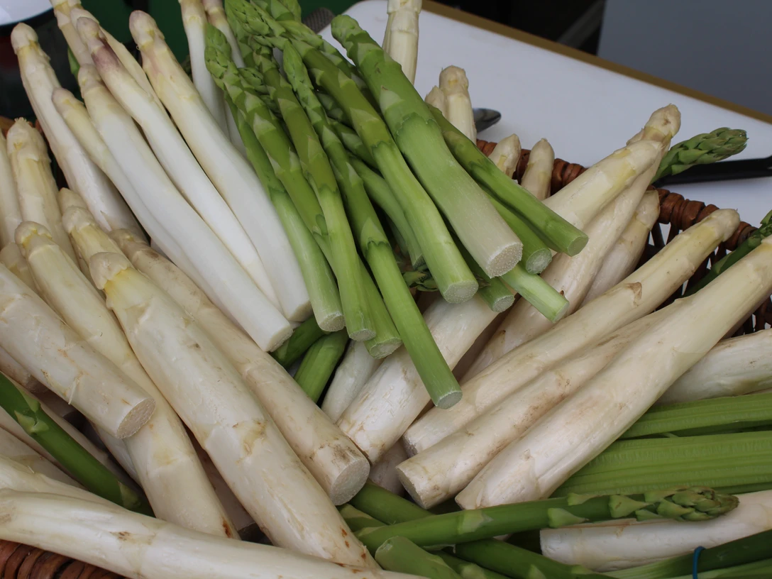 Weiße und grüne Spargelstangen in einem Korb, frisch geerntet und gestapelt.