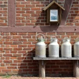 Milchkannen Vier traditionelle Milchkannen stehen auf einer Holzbank vor einer Backsteinmauer mit Fachwerk.