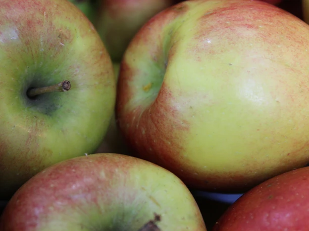Rote und grüne Äpfel liegen dicht beieinander, die natürlichen Farben und Texturen sind klar erkennbar.