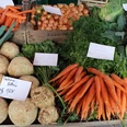 Gemüse Verschiedene frische Gemüsesorten, darunter Karotten, Sellerie und Zwiebeln, liegen einladend auf einem Marktstand.