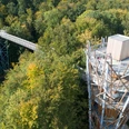 Baumwipfelpfad in Bad Iburg Baumwipfelpfad mit Aussichtsturm, umgeben von dichtem Wald in herbstlichen Farben.Treetop walk with viewing tower, surrounded by dense forest in autumnal colors.Vandring i trætoppene med udsigtstårn, omgivet af tæt skov i efterårsfarver.Boomkroonwandeling met uitkijktoren, omgeven door dicht bos in herfstkleuren.