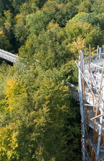 Baumwipfelpfad in Bad Iburg Baumwipfelpfad mit Aussichtsturm, umgeben von dichtem Wald in herbstlichen Farben.Treetop walk with viewing tower, surrounded by dense forest in autumnal colors.Vandring i trætoppene med udsigtstårn, omgivet af tæt skov i efterårsfarver.Boomkroonwandeling met uitkijktoren, omgeven door dicht bos in herfstkleuren.