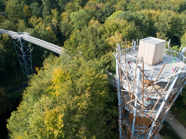 Baumwipfelpfad in Bad Iburg Treetop walk with viewing tower, surrounded by dense forest in autumnal colors.