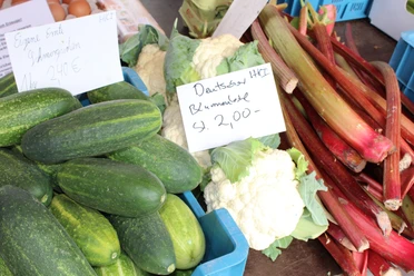 Frisches Gemüse mit Gurken, Blumenkohl und Rhabarber auf einem Verkaufsstand mit Preisschildern.